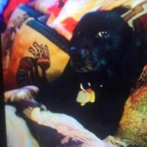 Meet your Posher, Nina